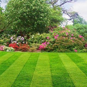Perfect Lawns