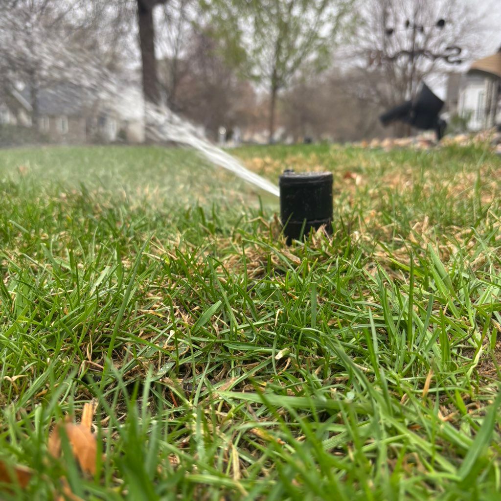 Irrigation Professor