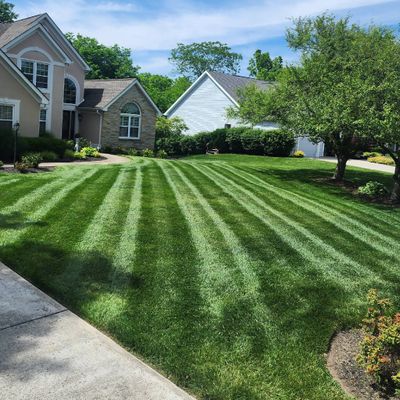 Avatar for BD lawn service