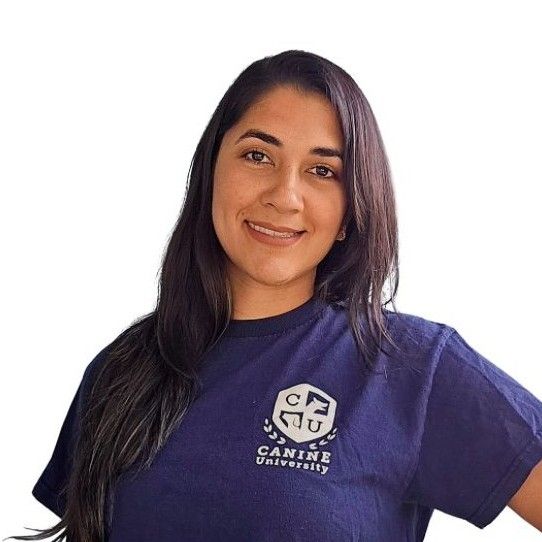 Canine University LLC- Brianna Alamo IAABC-ADT