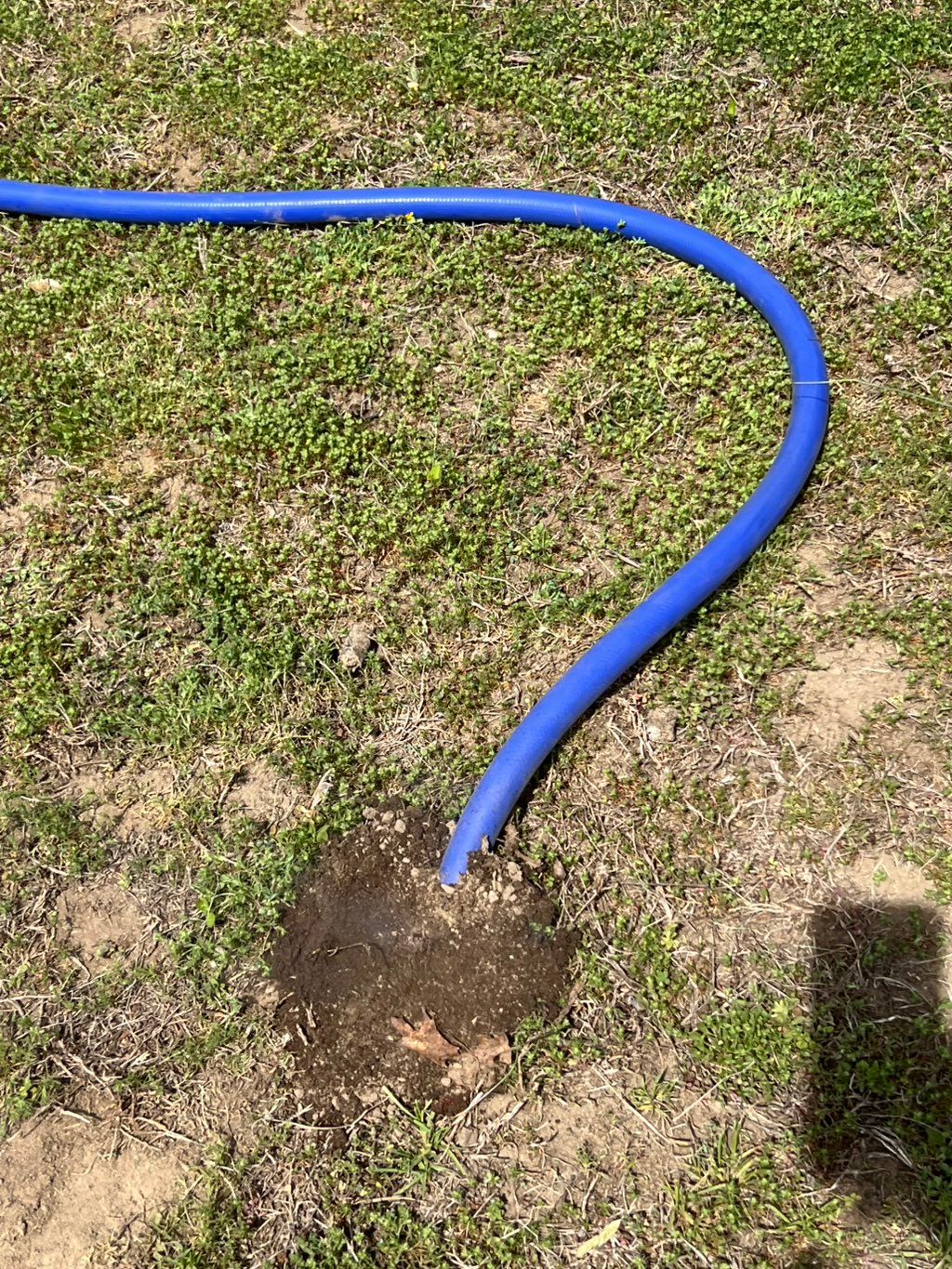 Burrow Rx treatment for nuisance wildlife and rats