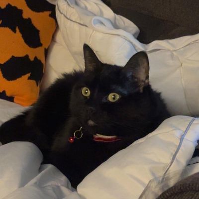 Avatar for Olivia