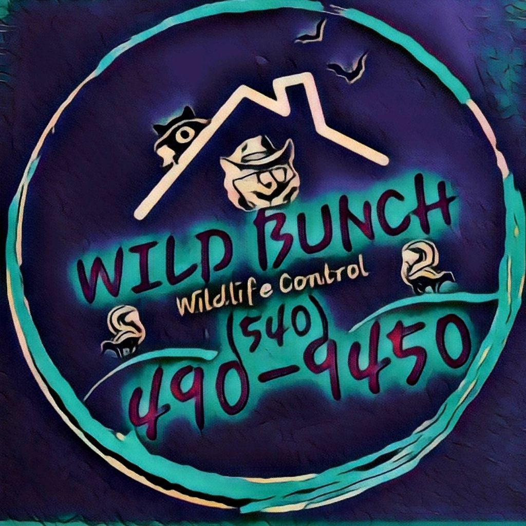 Wild Bunch LLC