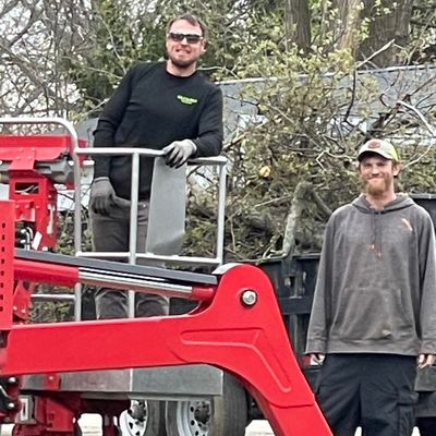 Avatar for Bull of the Woods Tree Service
