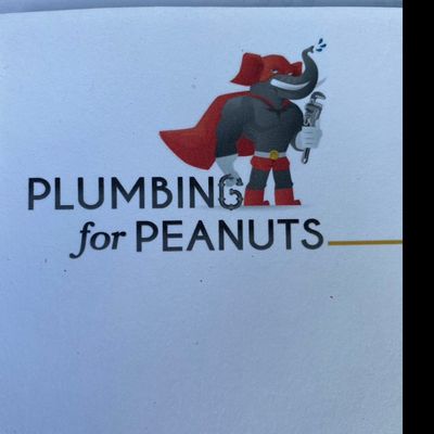 Avatar for Plumbing For Peanuts