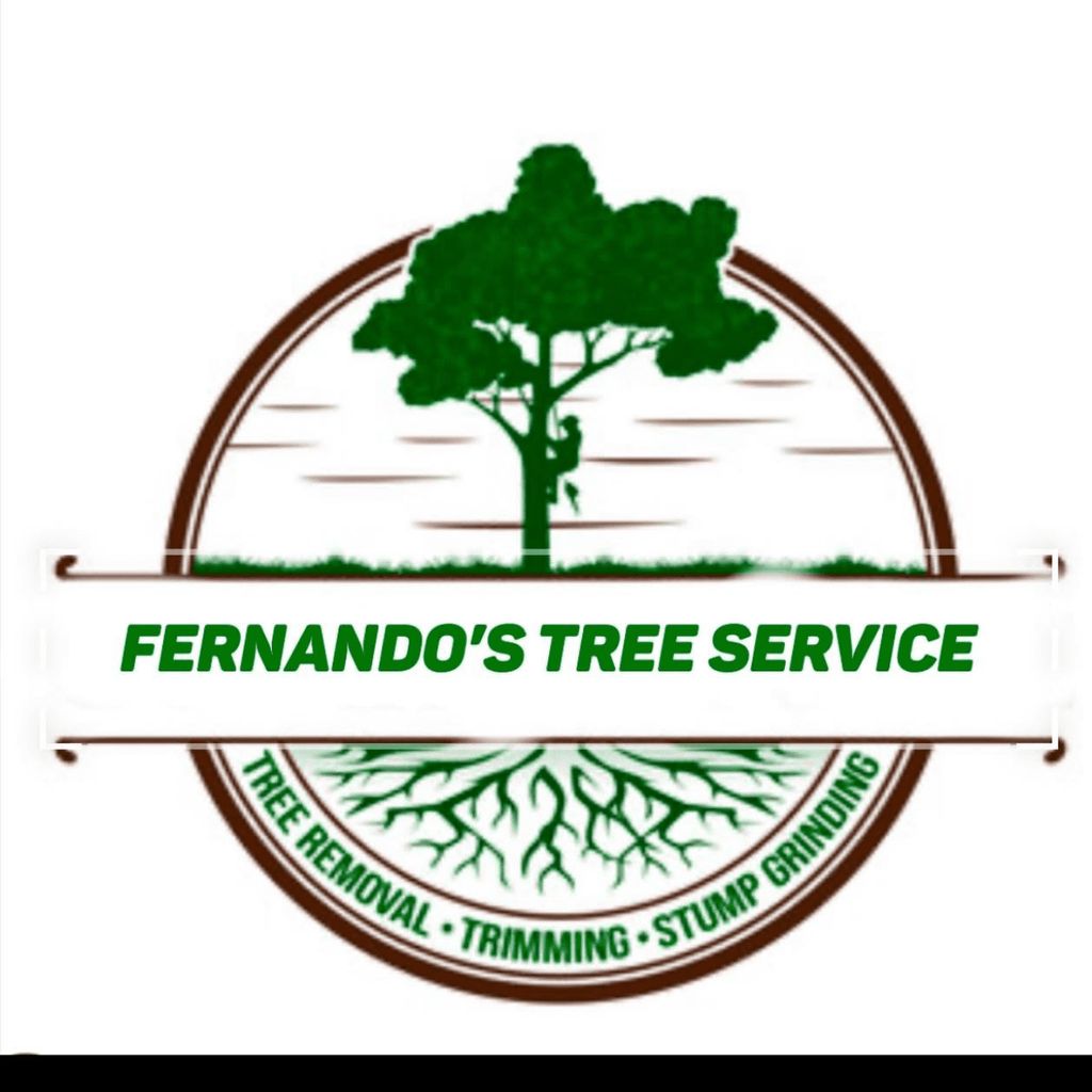Fernando’s tree service
