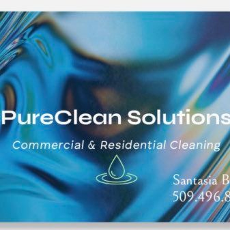 PureClean Solutions