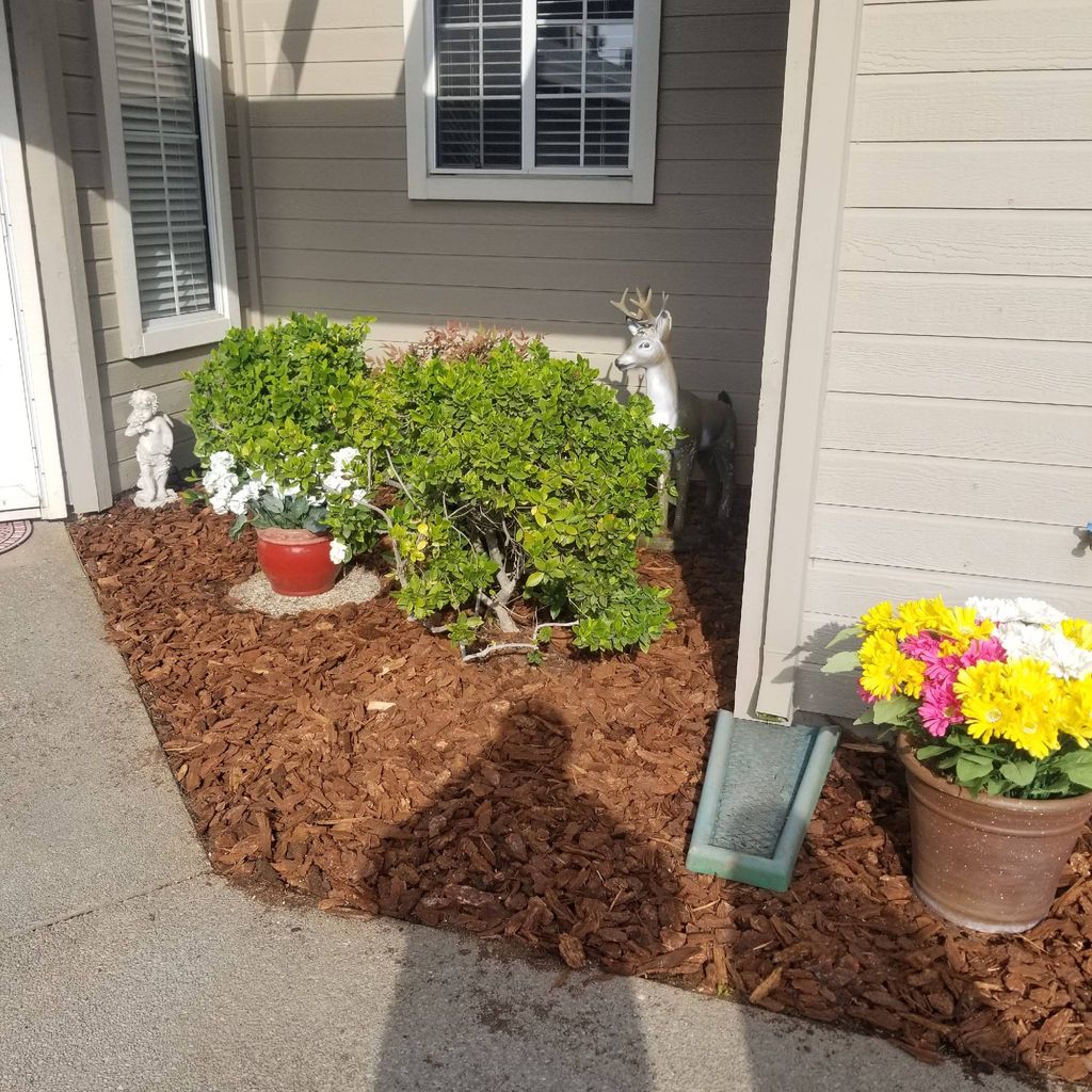 razo gardening