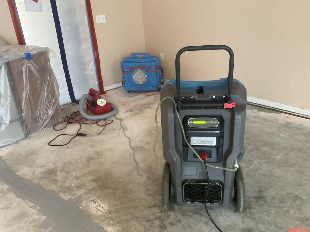 Mold Remediation 