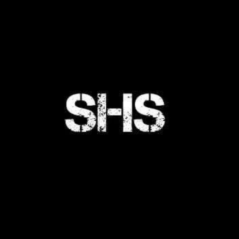 Silverback handyman services L.L.C