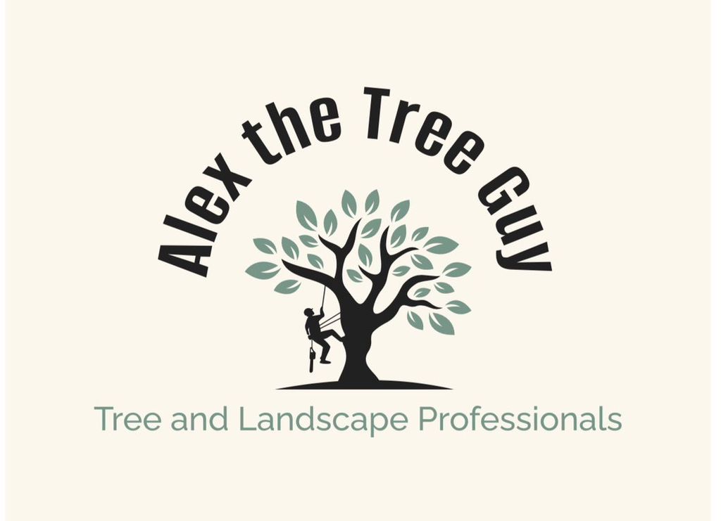 Alex the Tree Guy