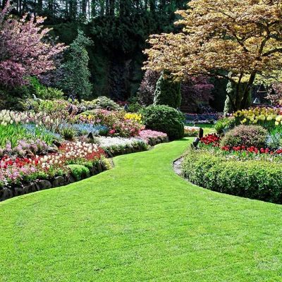 Avatar for GMT Landscape Maintenance