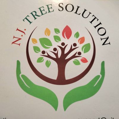 Avatar for NJ Tree solution