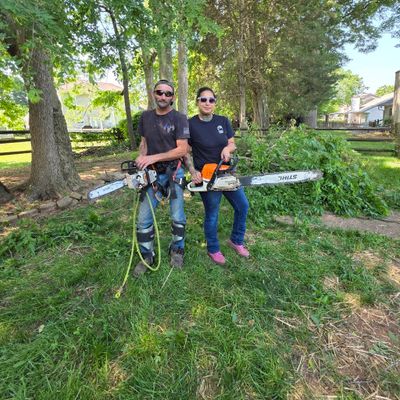 Avatar for A & B Tree Expert & Cat Rescue