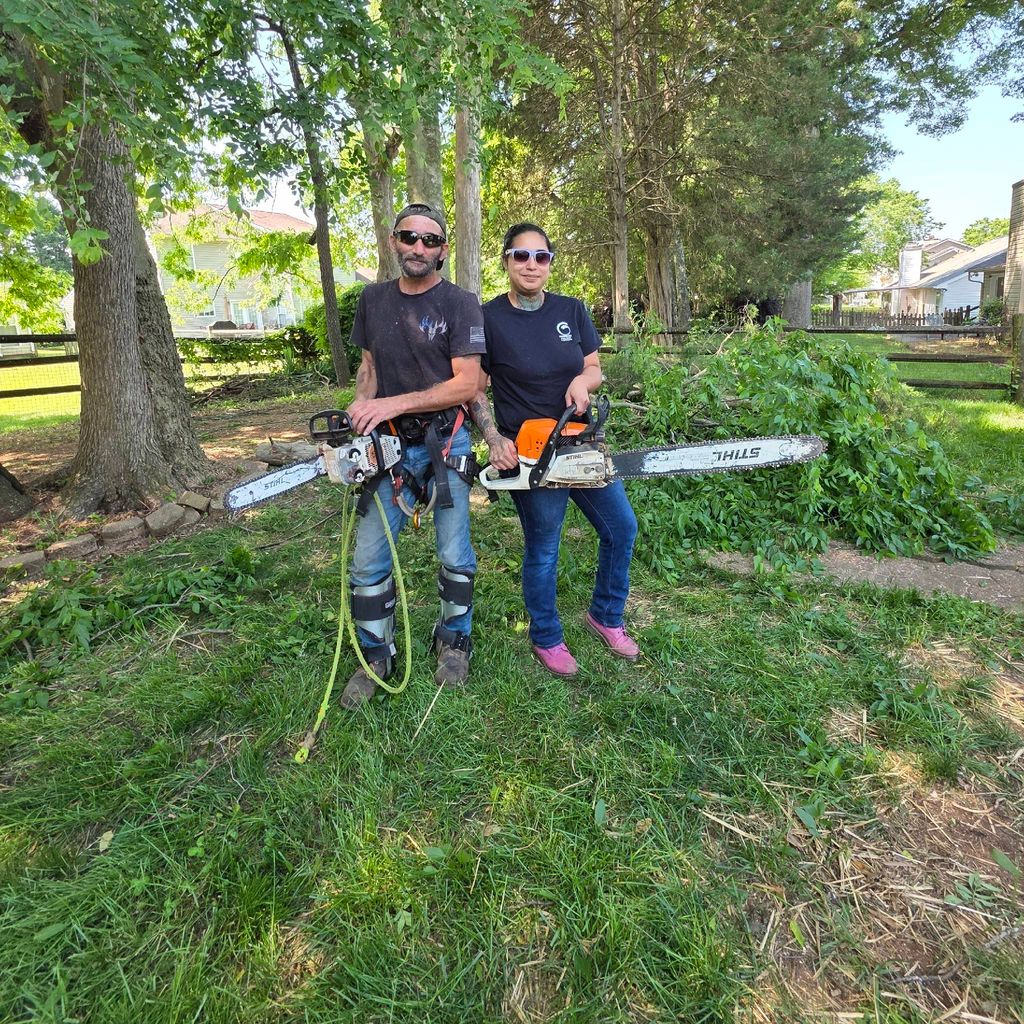 A & B Tree Expert & Cat Rescue