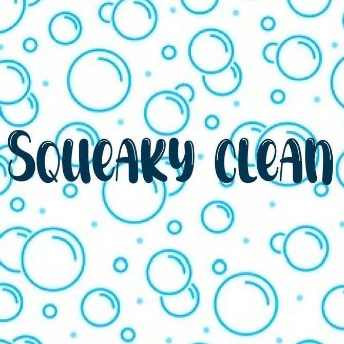 Squeaky Clean Team