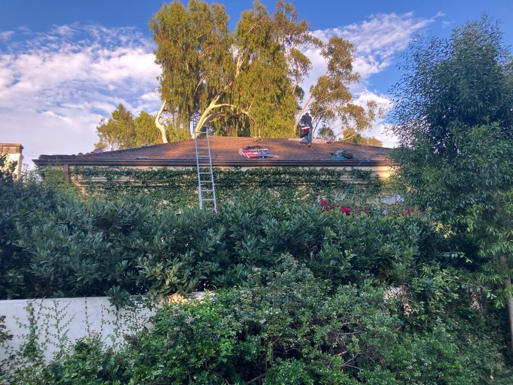 Completed Shingle RE-Roof