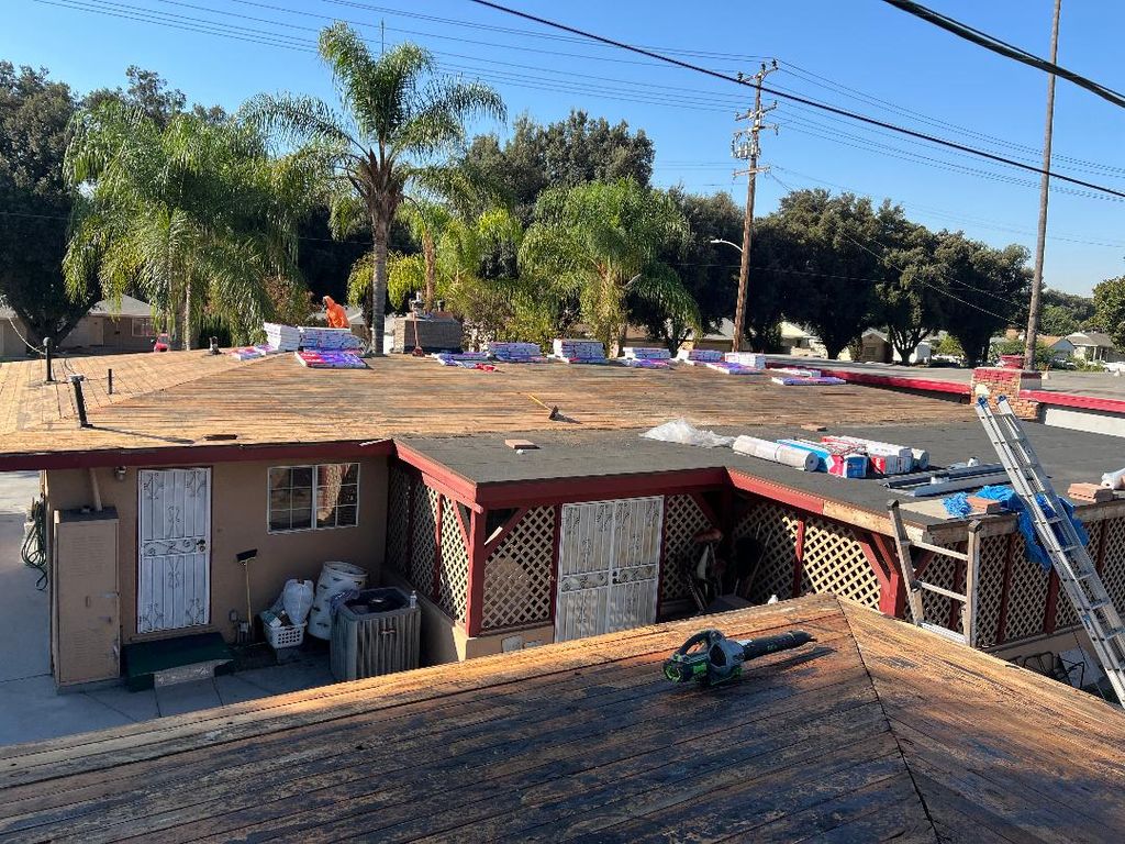 Shingle Roof Replacement