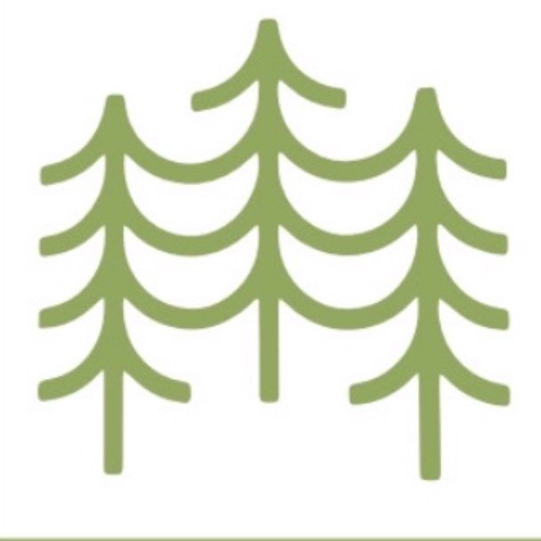 Felipe Tree Service and Landscaping