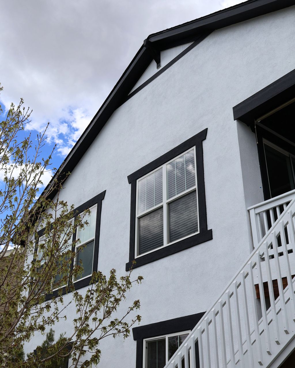 Sherwin-Williams Tricorn Black & Extra White