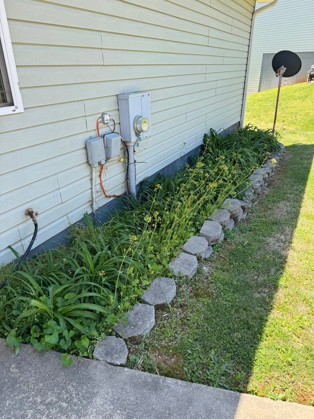 Flower Bed Weed - Before