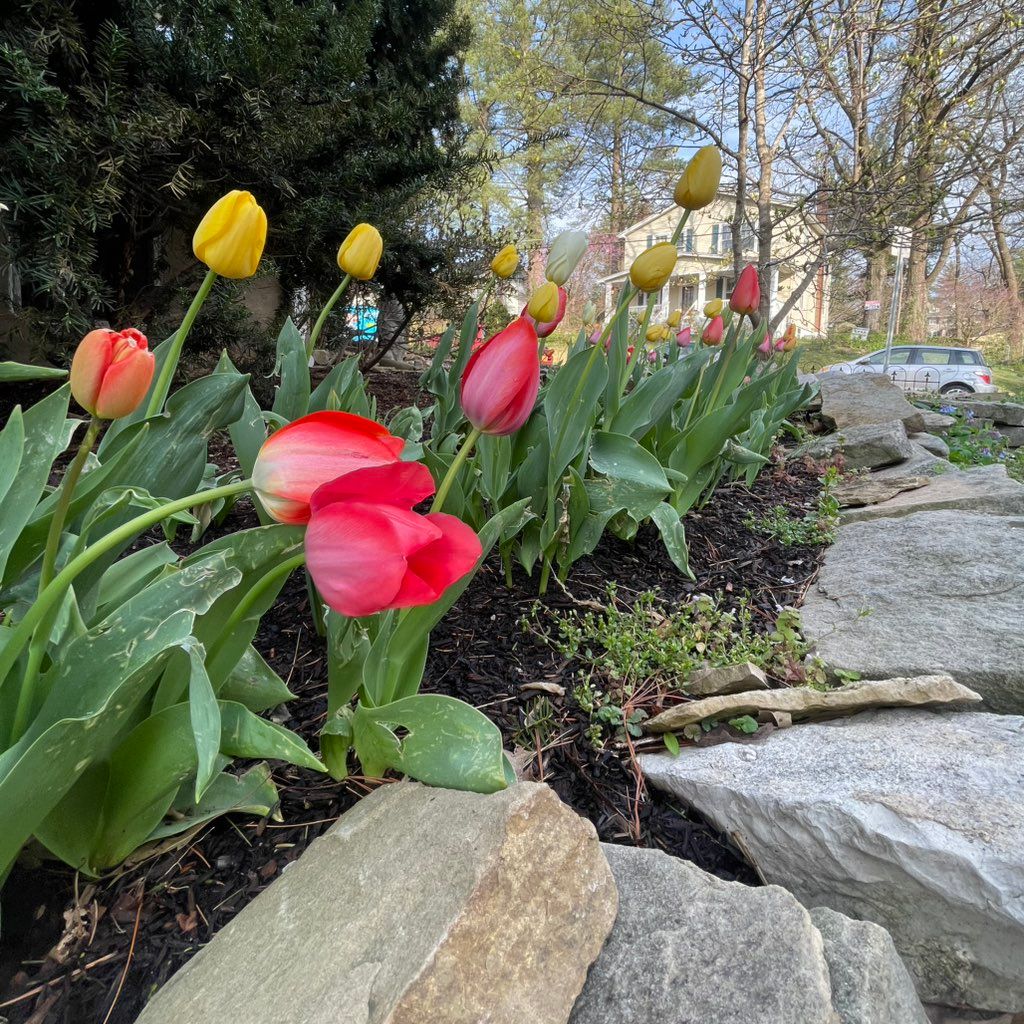 PearlGardens