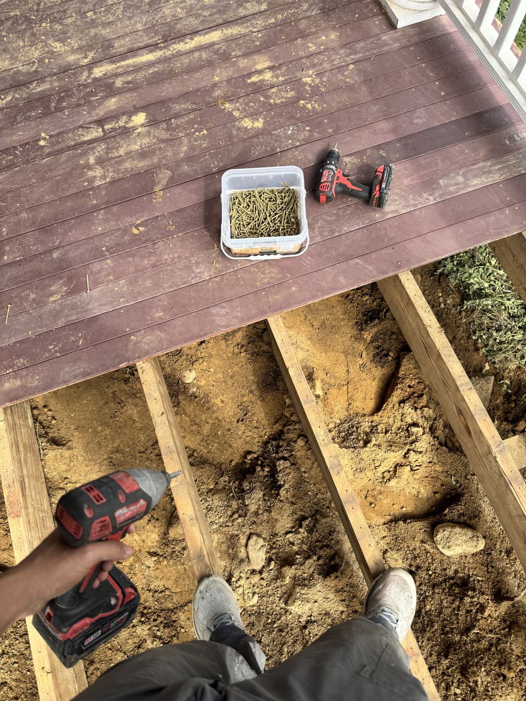 Projects and media