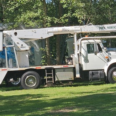 Avatar for Tex  tree service