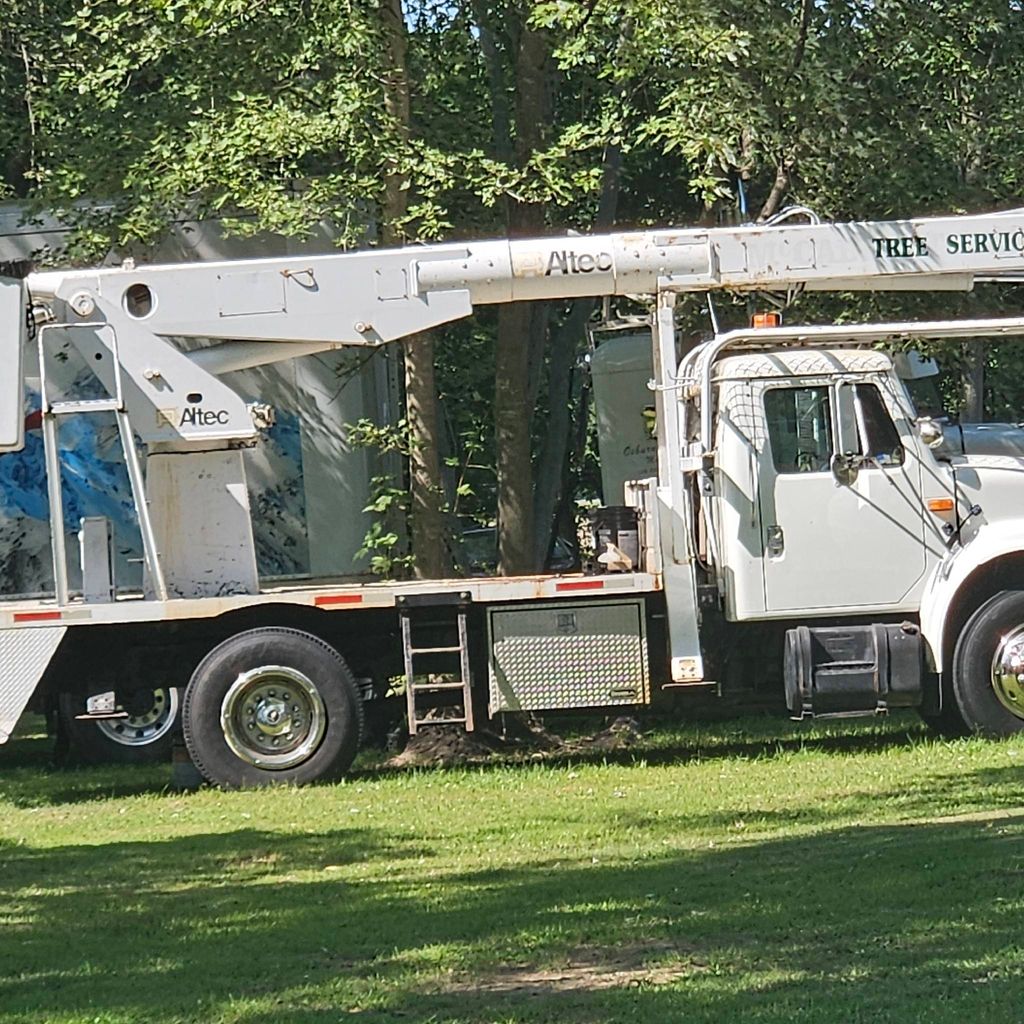 Tex tree service