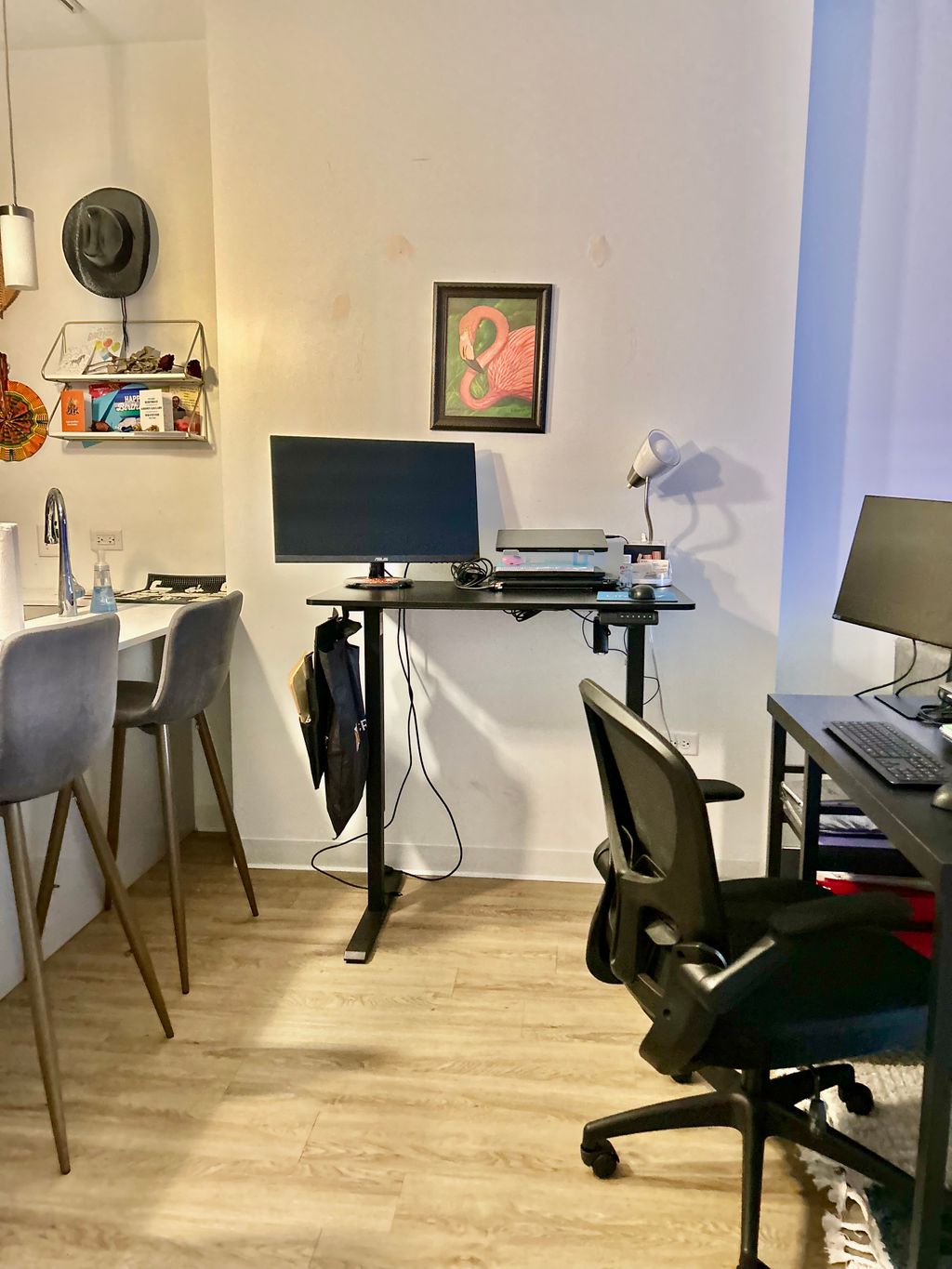 Projects and media
