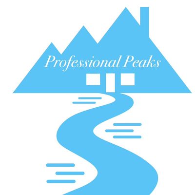 Avatar for Professional Peaks