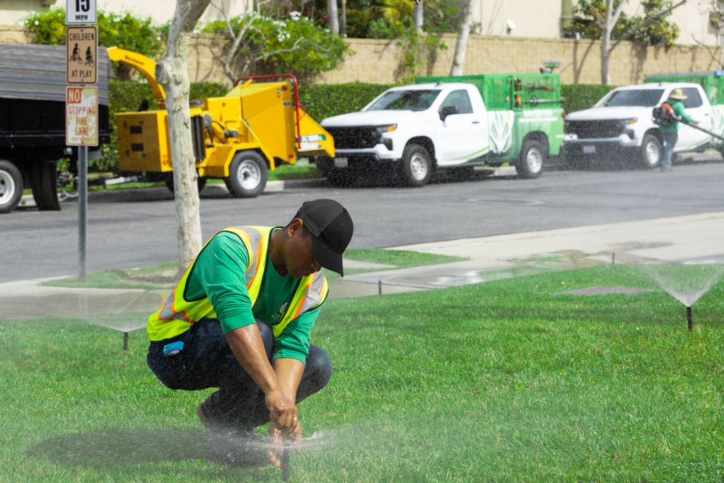 Water Management: Sprinkler system installation, r