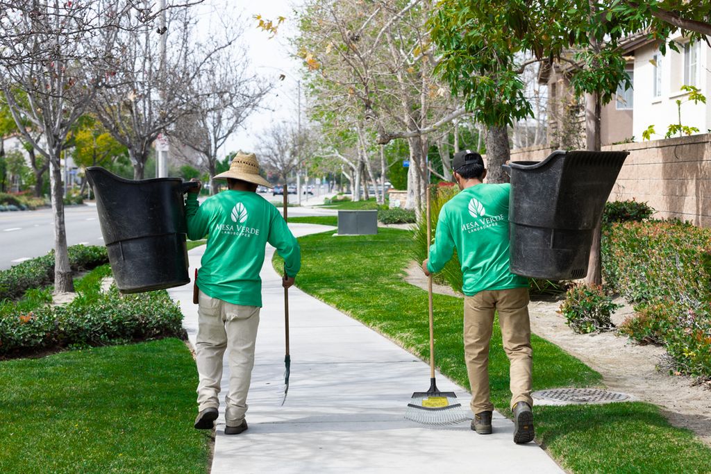 Commercial Maintenance