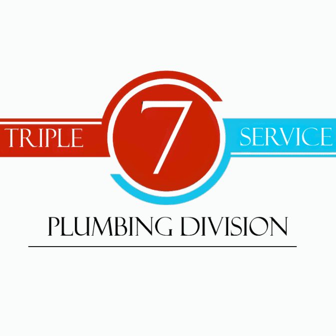 Triple 7 Services
