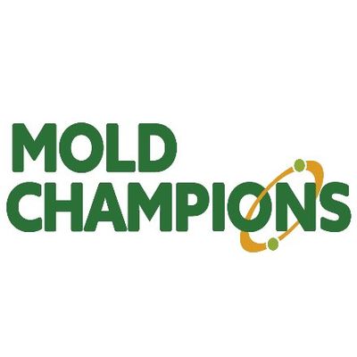 Avatar for Mold Champions