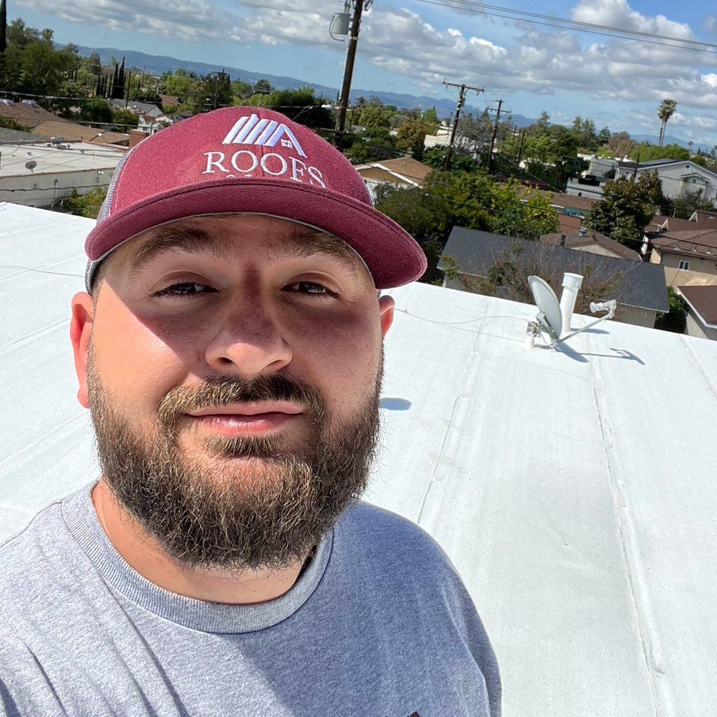 Roofs of Art