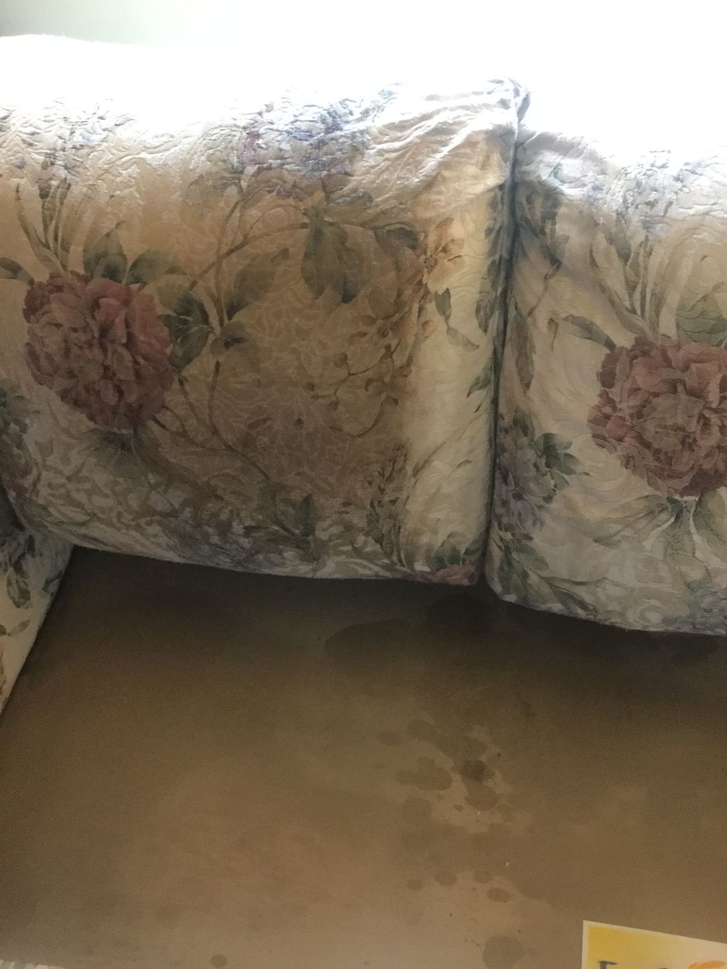 Yes, we can perform miracles on upholstery cleanin