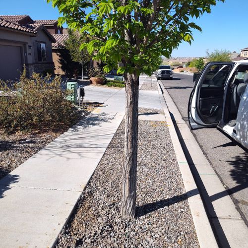 killa weeds and much more