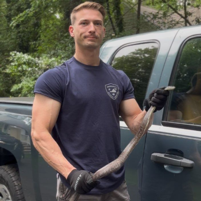 Emergency Wildlife Removal