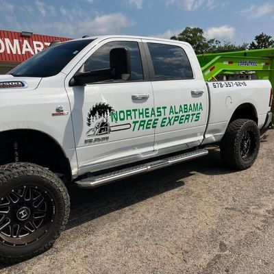Avatar for Northeast Alabama Tree Experts