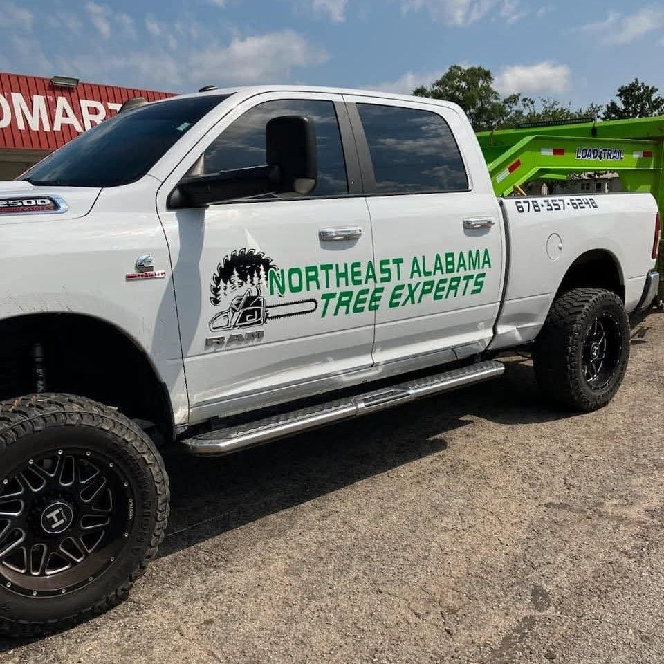 Northeast Alabama Tree Experts