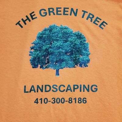 Avatar for the green tree