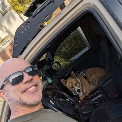 Avatar for Fitz's friendly pet sitting.