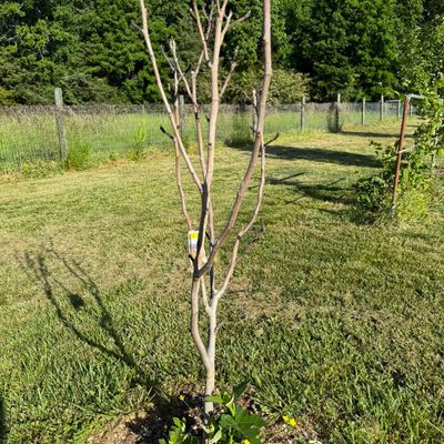 Avatar for Pavel Artyukh