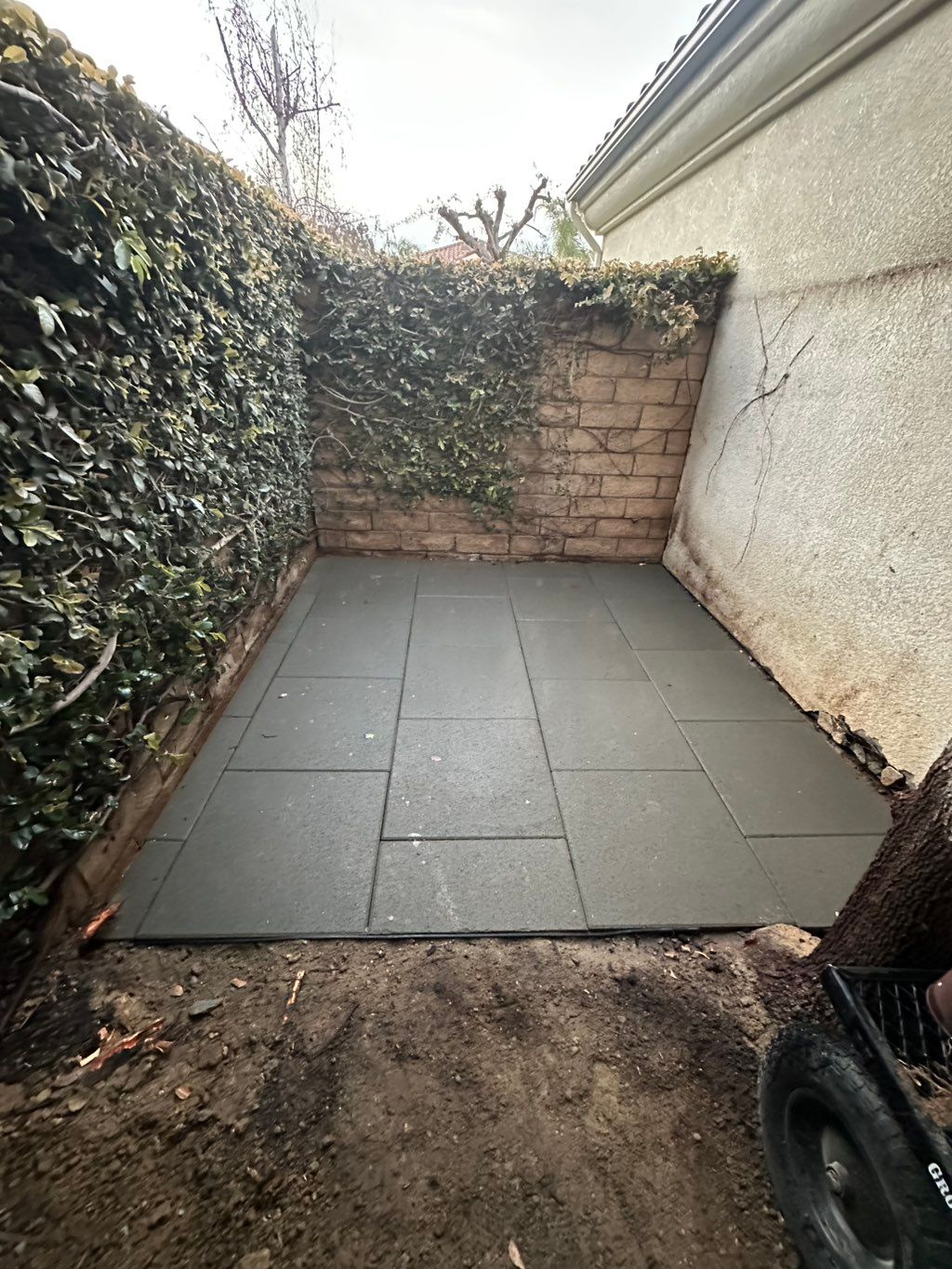 Projects and media