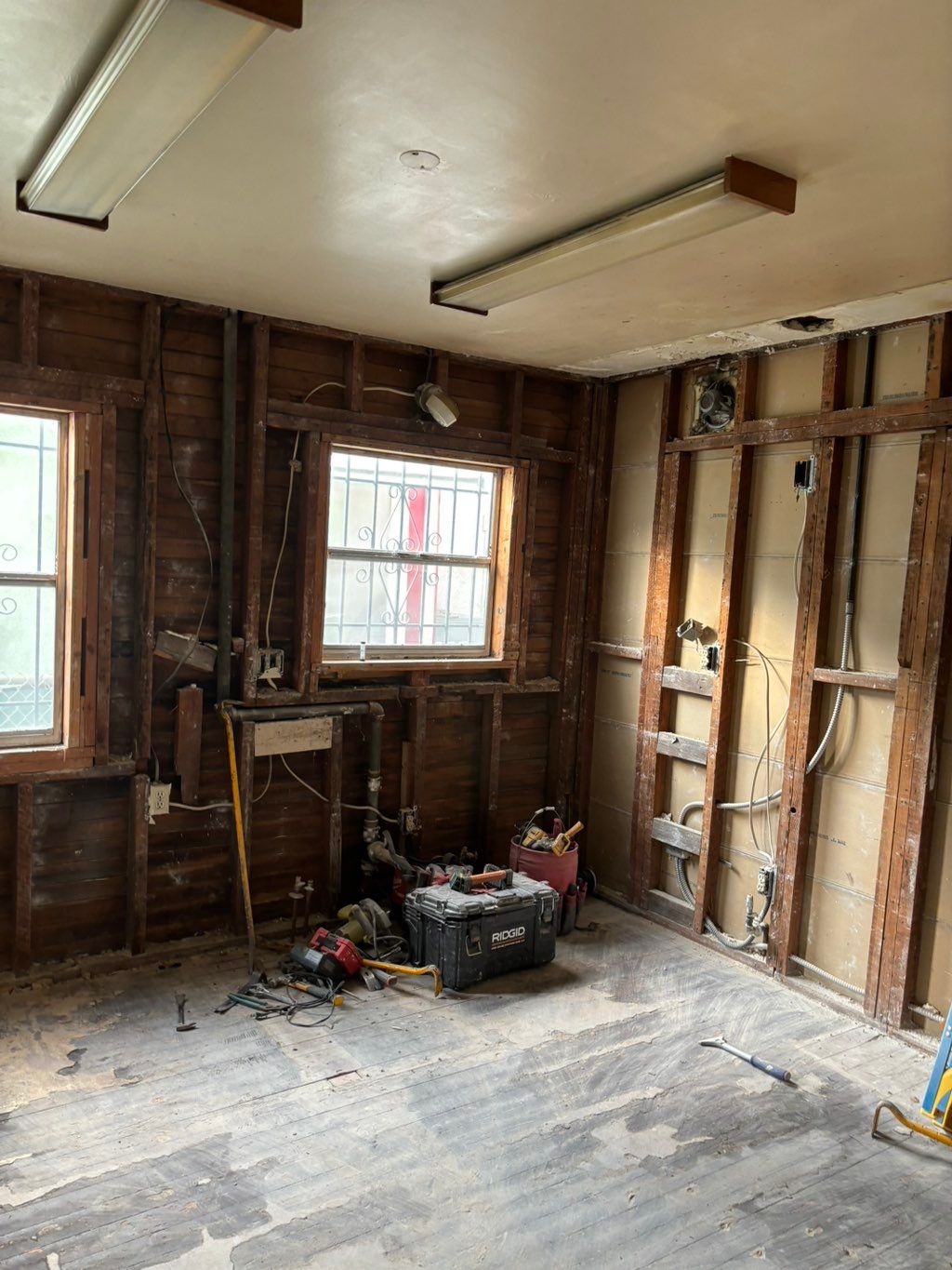 Projects and media