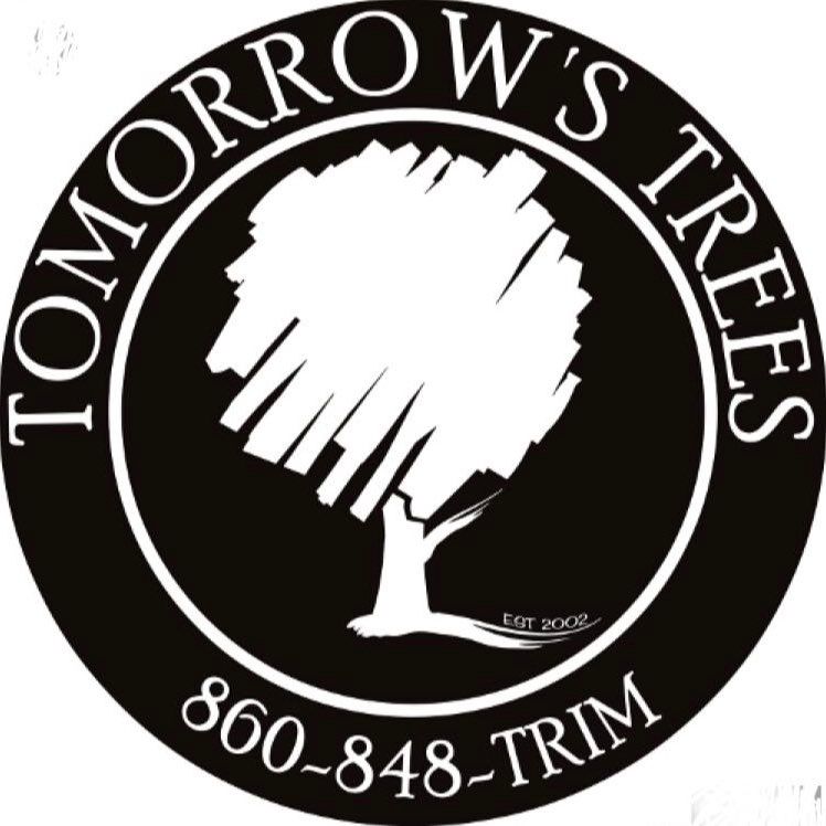 Tomorrow's Trees