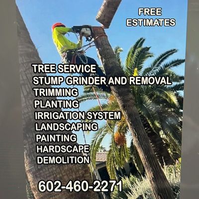 Avatar for Gastelum palm tree service.