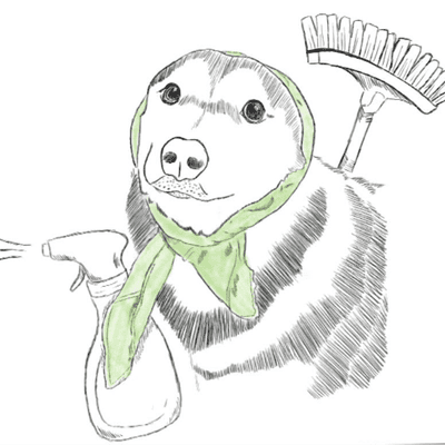 Avatar for Tidy Minds