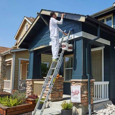 Avatar for Lifetime Painting and Remodeling